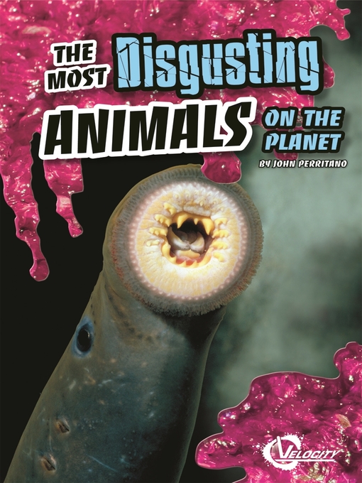 Cover image for The Most Disgusting Animals on the Planet